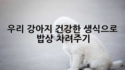 우리 강아지, 건강한 생식으로 밥상 차려주기🐶