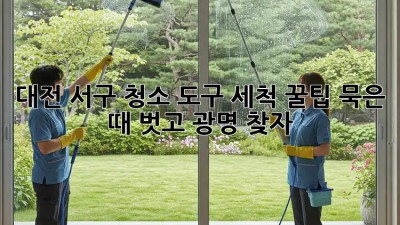 대전 서구 청소 도구 세척 꿀팁🧹✨: 묵은 때 벗고 광명 찾자!